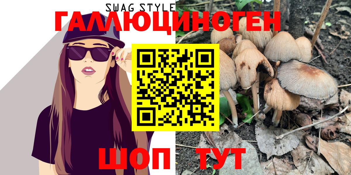 Псилоцибиновые грибы GOLDEN TEACHER Кореновск