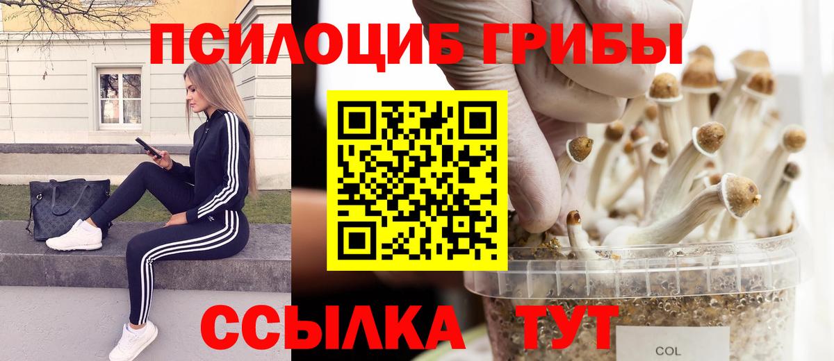 Кореновск  Псилоцибиновые грибы мухоморы  Вход с VPN 