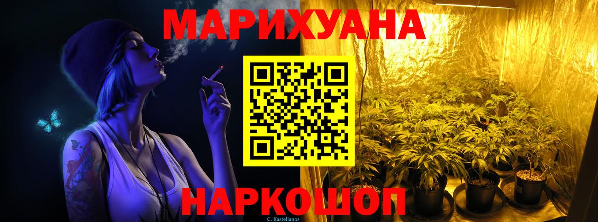 Конопля гибрид Кореновск
